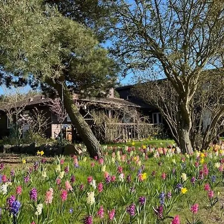 Charming Idyllic Wooden House *