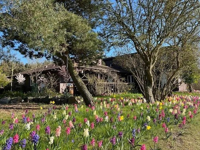 Charming Idyllic Wooden House *