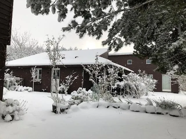 Charming Idyllic Wooden House Σπίτι διακοπών